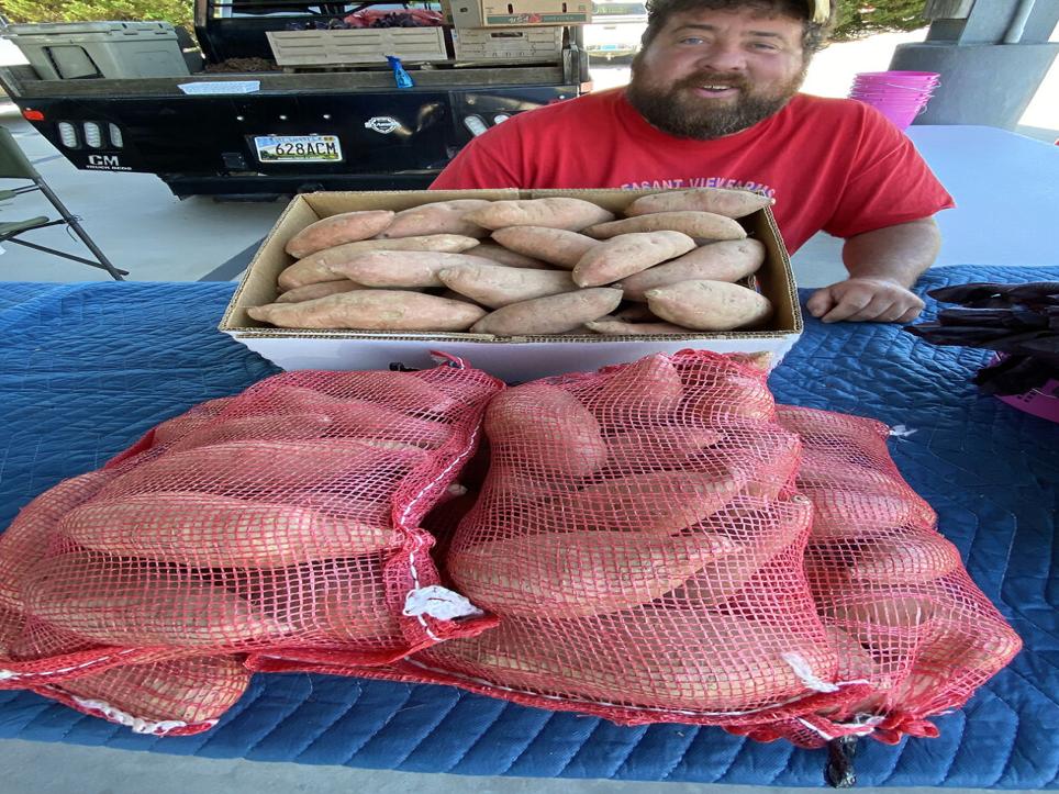 Truly, madly, dirty…sweet potato myths revealed – Hungry for Louisiana