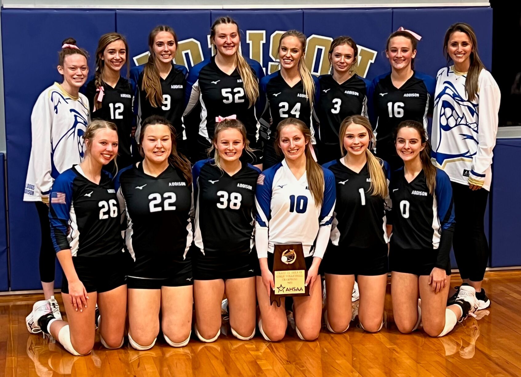 PREP VOLLEYBALL ROUNDUP: Addison Notches Class 1A, Area 13 Tournament ...