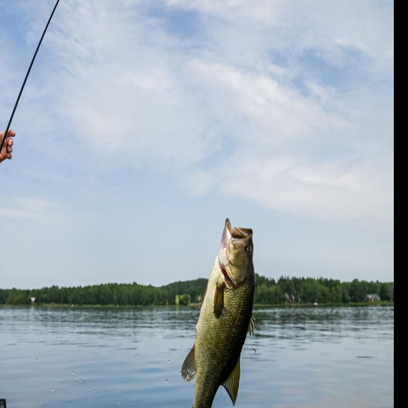 Matt Lee dominates opening day at MLF Bass Pro Tour Toyota Stage