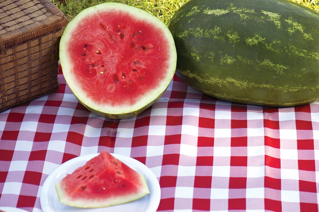 Watermelon capital of Alabama offers free fruity fun News