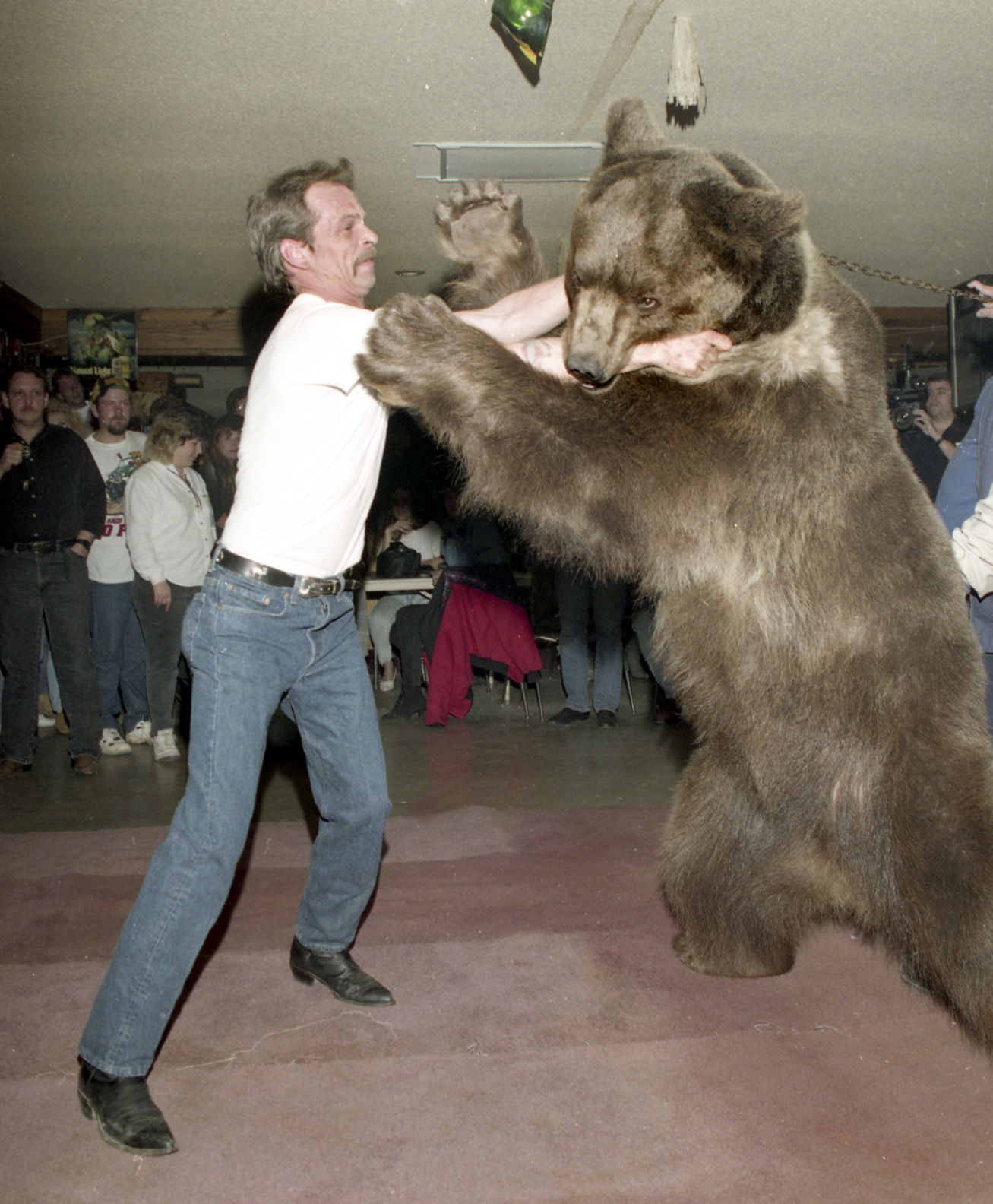 Bear wrestling cheap