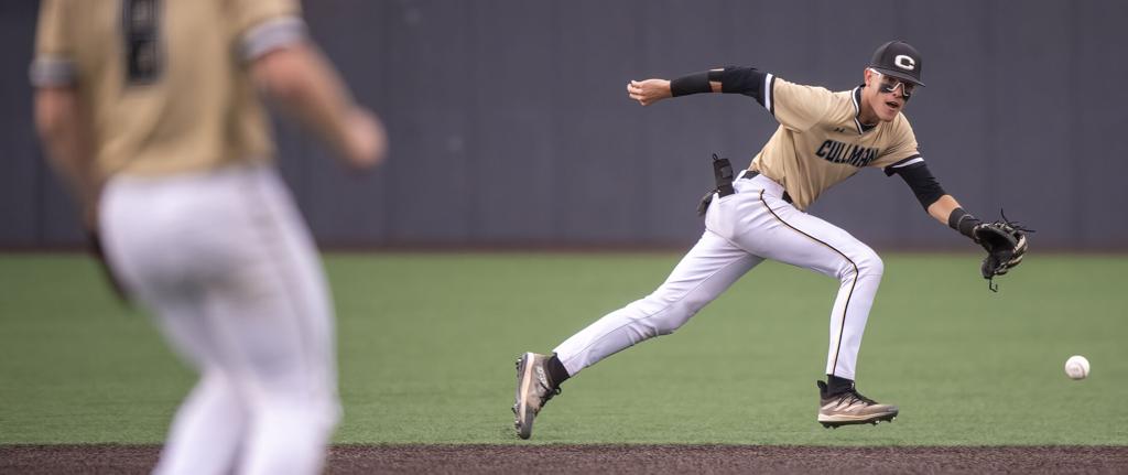 PREP BASEBALL PLAYOFFS: Ponder's HR lifts Cullman past Gardendale, into  Class 6A semifinals, Sports