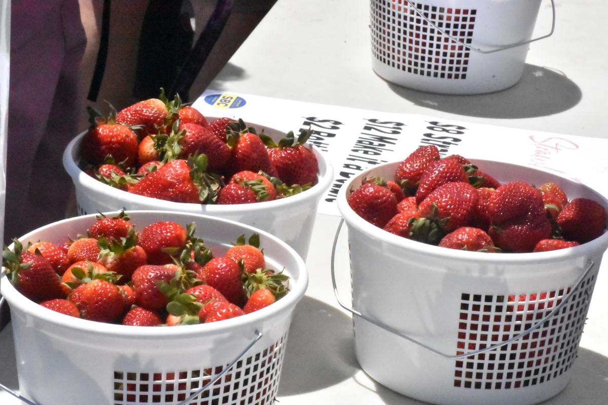 Participant in first Strawberry Festival of 1939 arrives in Cullman