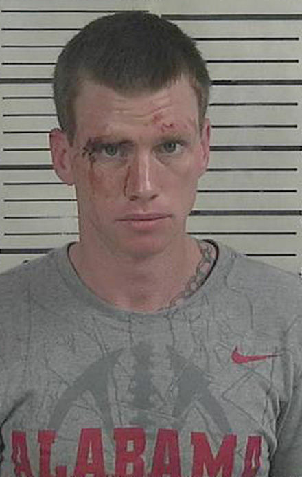 High-speed chase ends with wreck, drug charges for Cullman ...