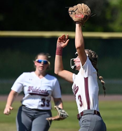 Mechanicsburg's maiden voyage in state softball tournament ends with ...