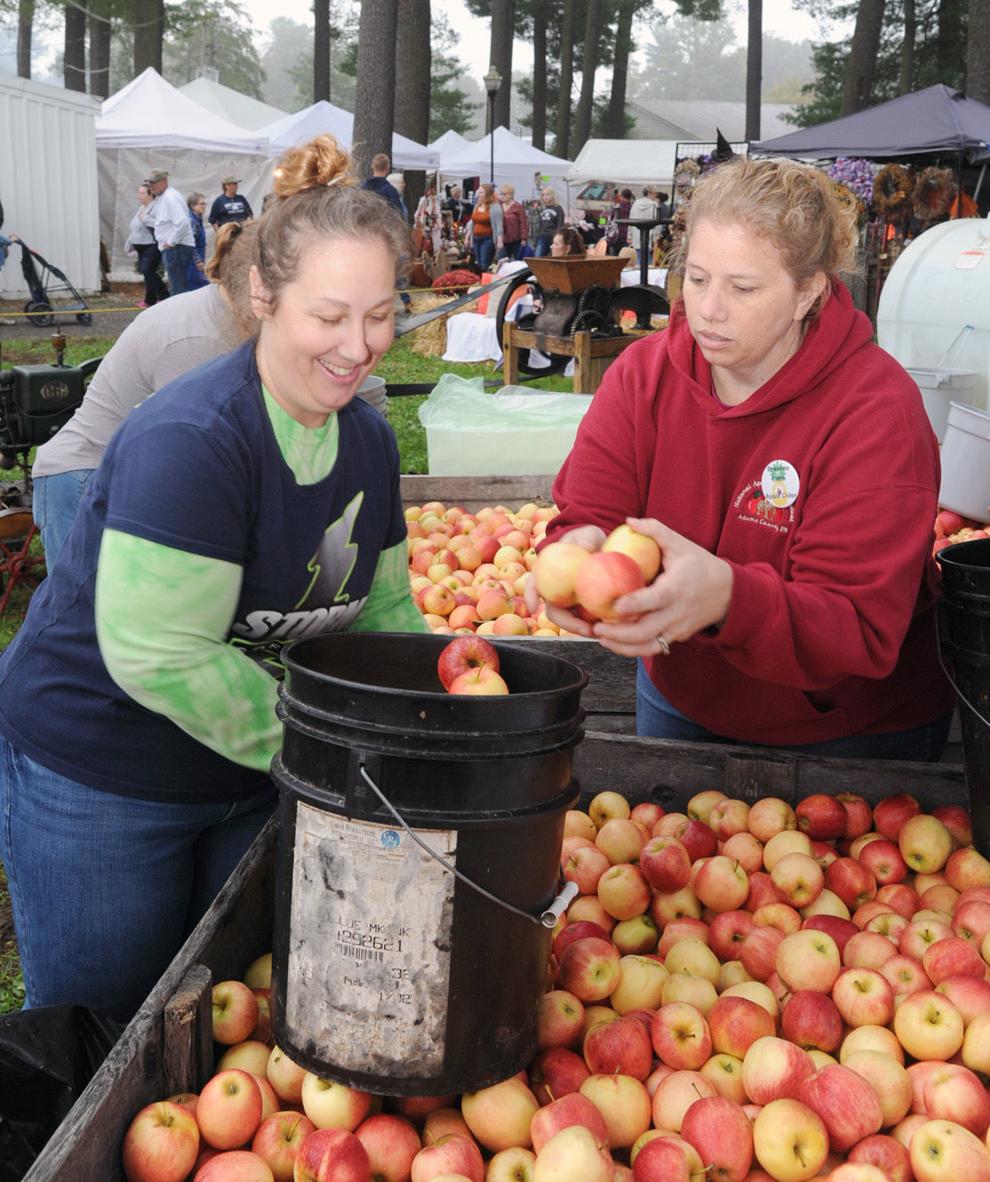 Getting to the core of the National Apple Harvest Festival