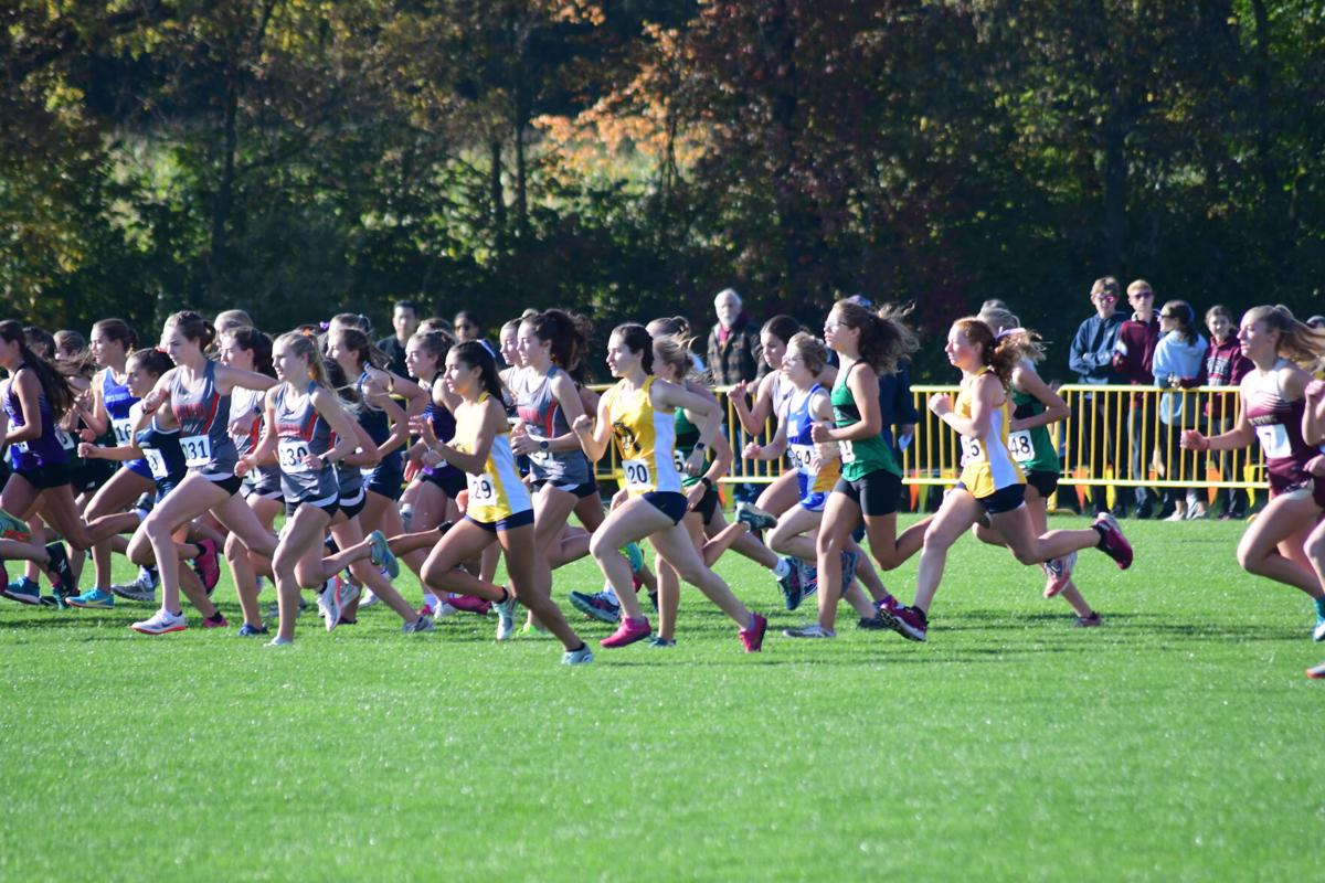 News - 2010 Results - Brown University XC Invite