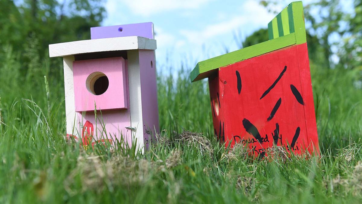 Yellow Breeches Students Help Paint Birdhouses Hung In South Middleton Park Boiling Springs Cumberlink Com
