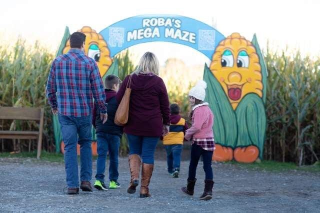 16 Corn Mazes in Pennsylvania to Visit This Fall