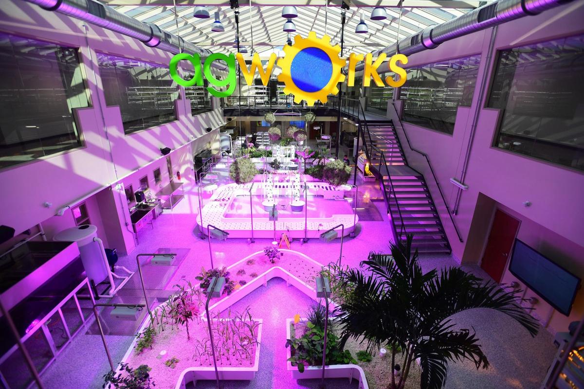 agworks takes students to the future of agriculture the