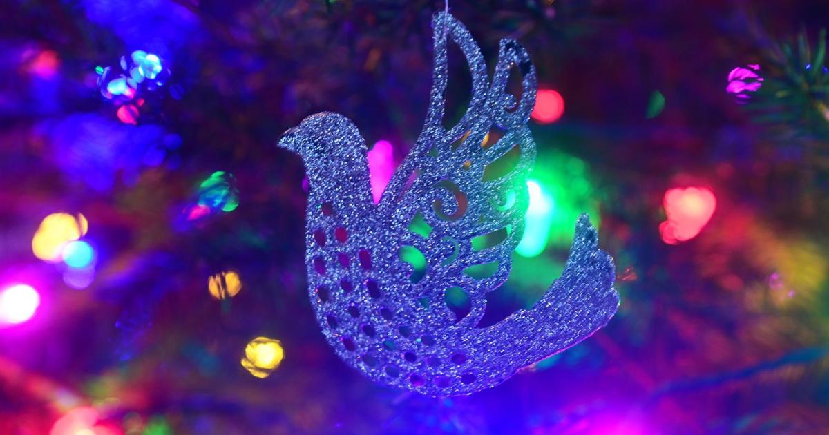 Mechanicsburg Pa 2021 Christmas Parade A Collection Of Holiday Events For Cumberland County In 2021 The Sentinel News Cumberlink Com Mechanicsburg Pa 2021 Christmas Parade A Collection Of Holiday Events For Cumberland County In 2021 The Sentinel News Cumberlink Com