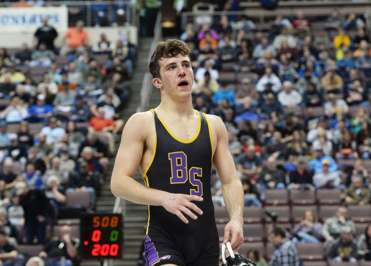 PIAA Wrestling Class 3A Day 3 (copy)