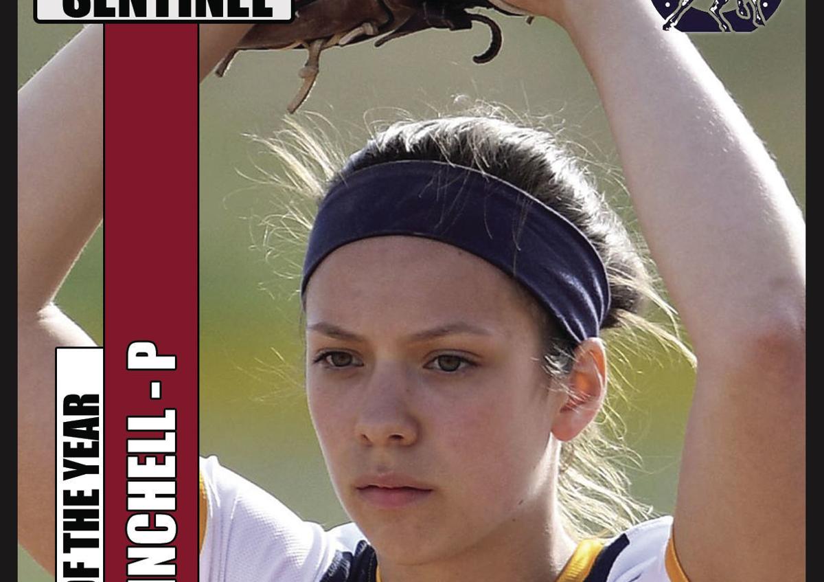All-Sentinel: Cedar Cliff sr. Avery Winchell