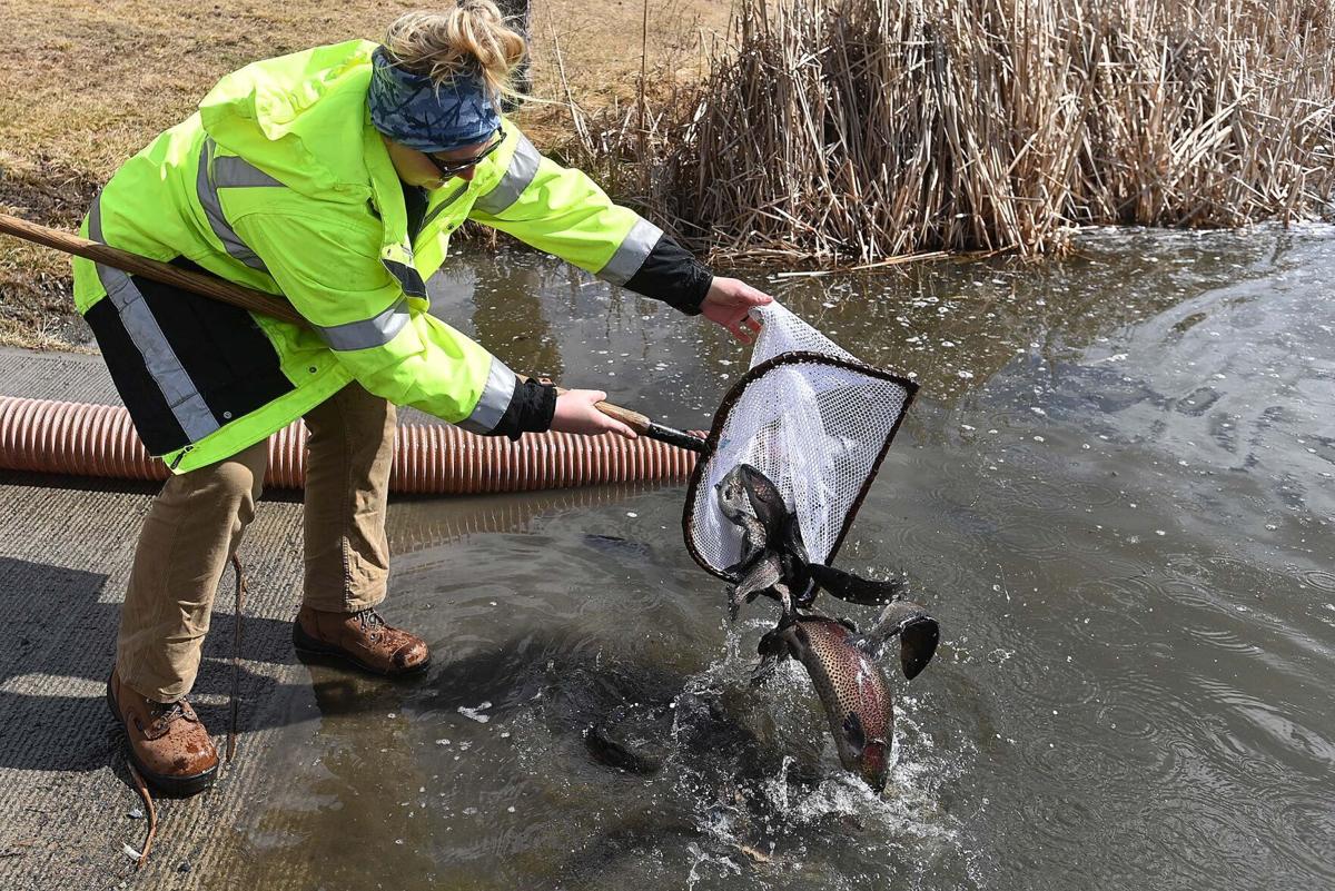 Stocking Up: Fish and Boat Commission stocks trout into area waters for  2022 season