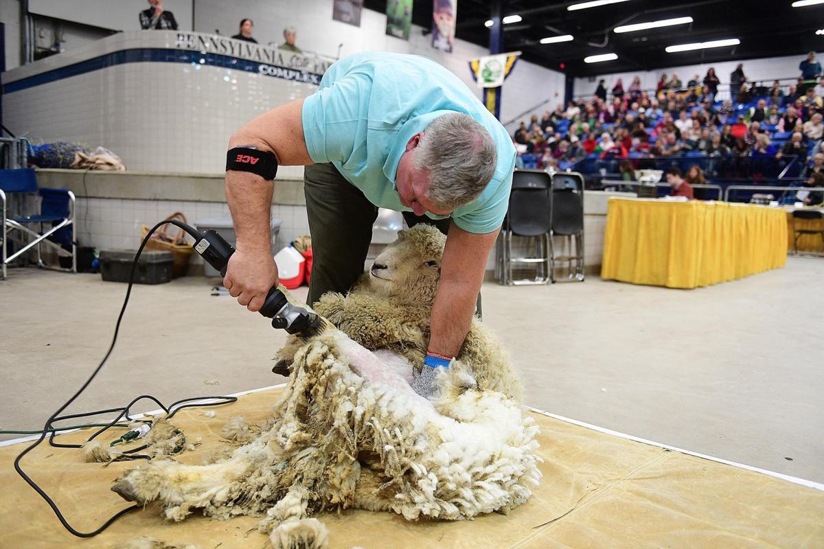 Franklin County team wins sheep to shawl contest at Farm Show Capital Region