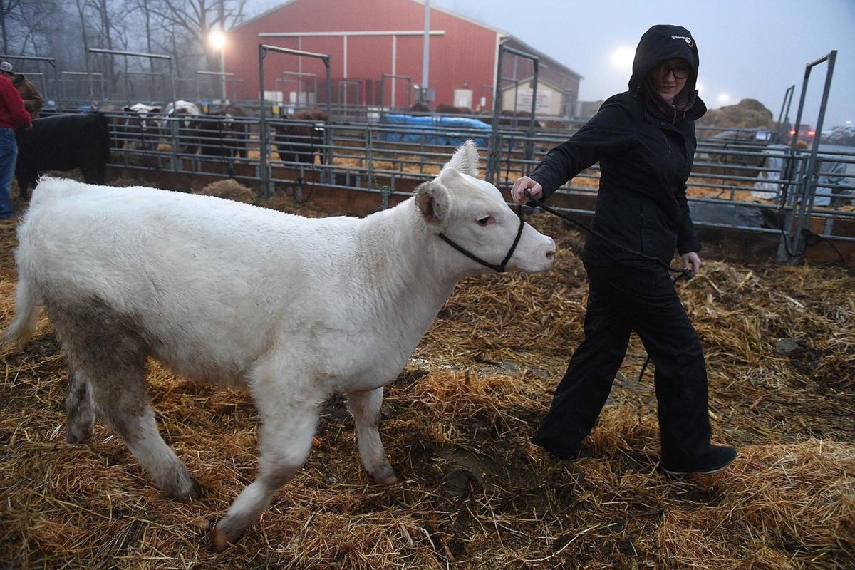 Events Still Remain In Last Days Of Pennsylvania Farm Show The Sentinel Local Scene Cumberlink Com