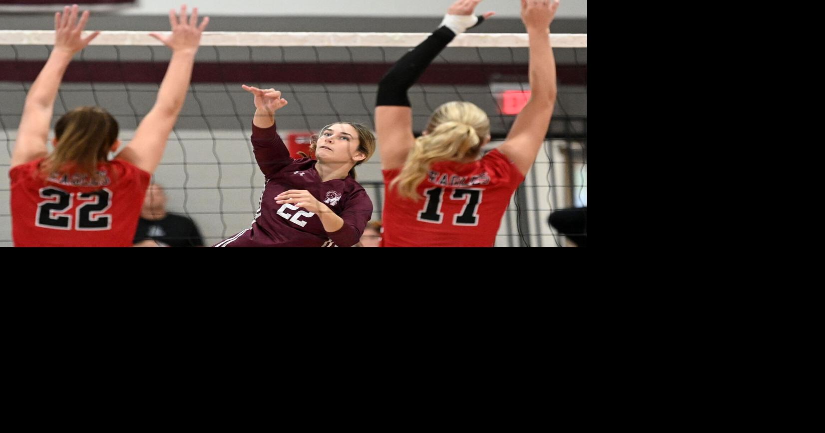 Energy fuels 'step one' for Mechanicsburg girls volleyball in District 3 first-round win