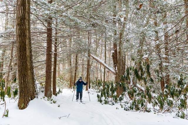 Things to Do in Pennsylvania This Winter