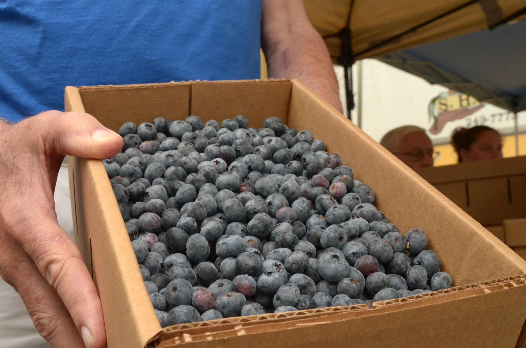 Kiwanis Club Blueberry sale