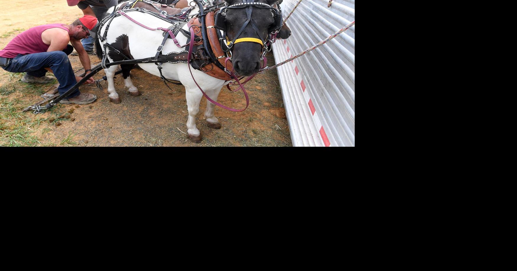 2026 Cumberland Ag Expo schedule