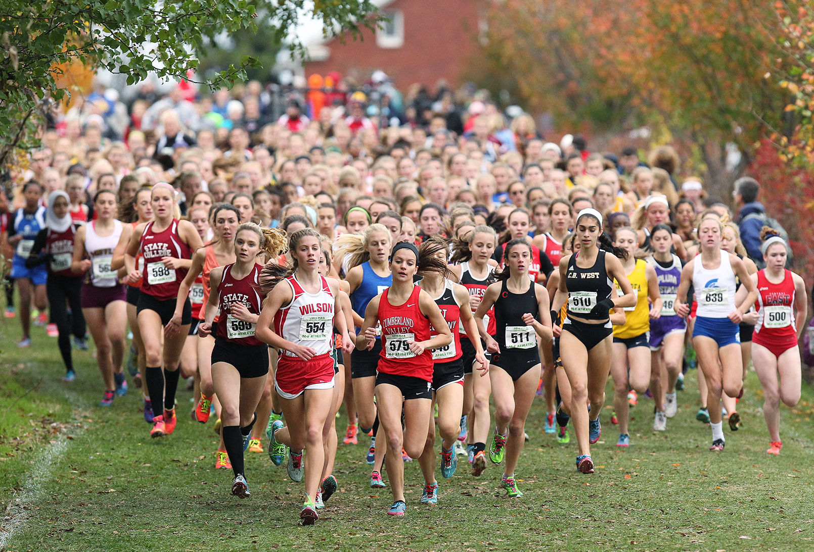 Cross Country: District 3 Championships To Be Held At Big Spring High ...