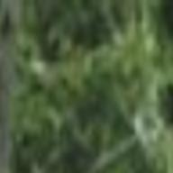 Accomplice In 2010 Rifle Range Murder Pleads Guilty Crime And