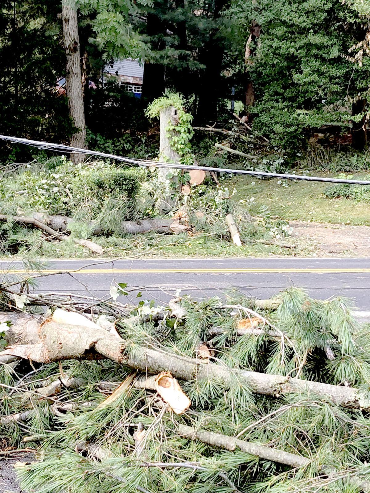 Intense storm knocks out power, knocks down trees in Mount Holly
