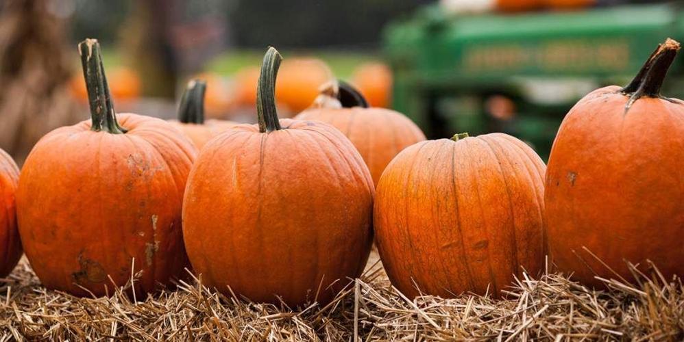 Hayrides in PA