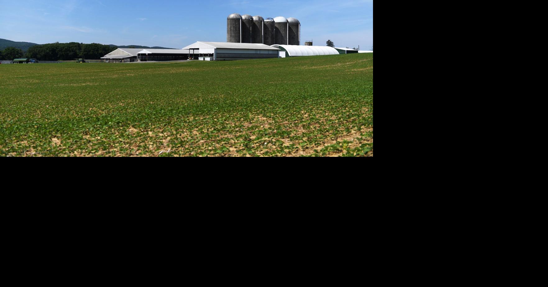 Fertilizer Stench – Washington Commanders: Schlereth says the ‘stench ...