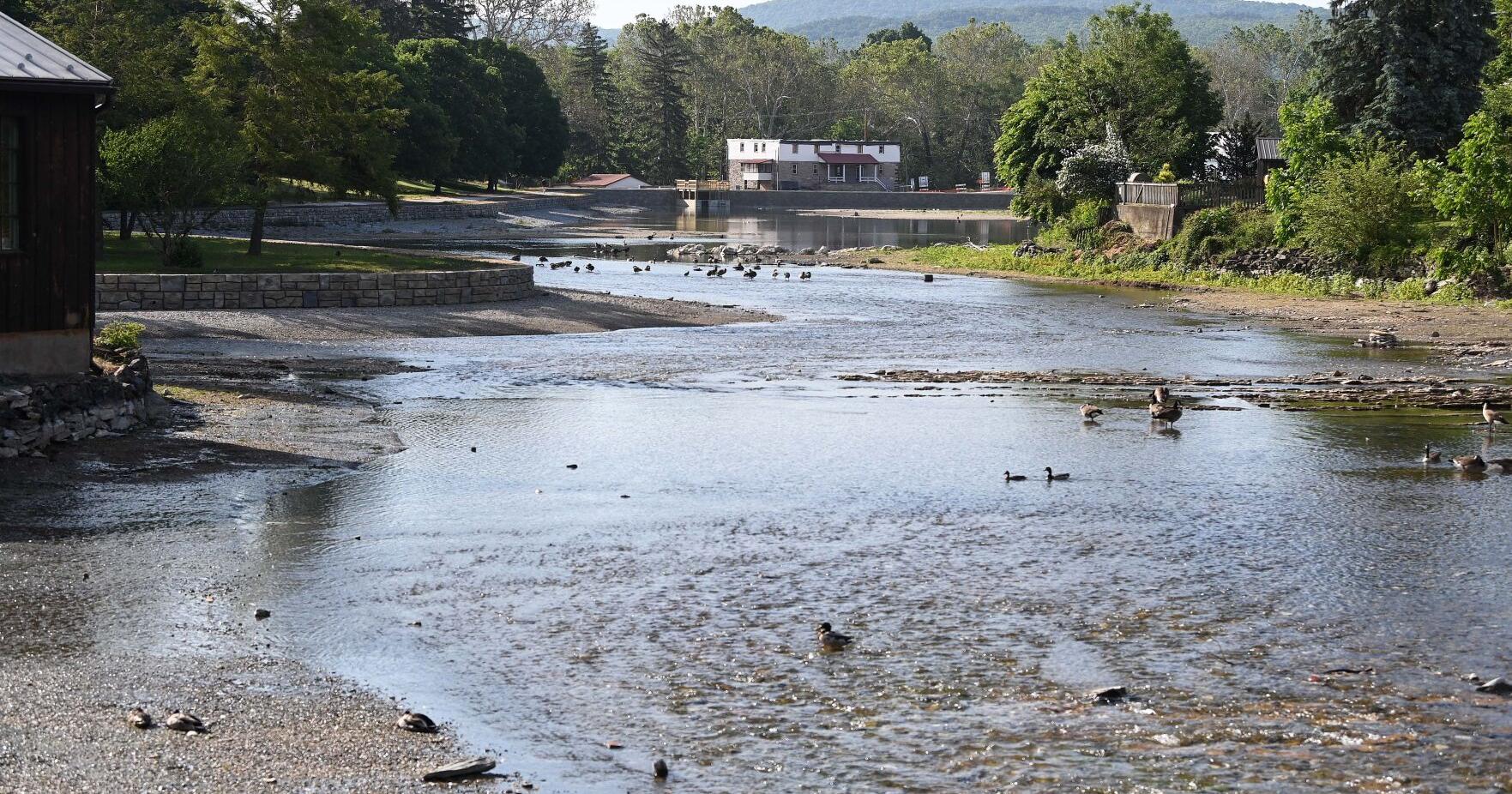 Children's Lake reopening within next two months - Vimarsana News