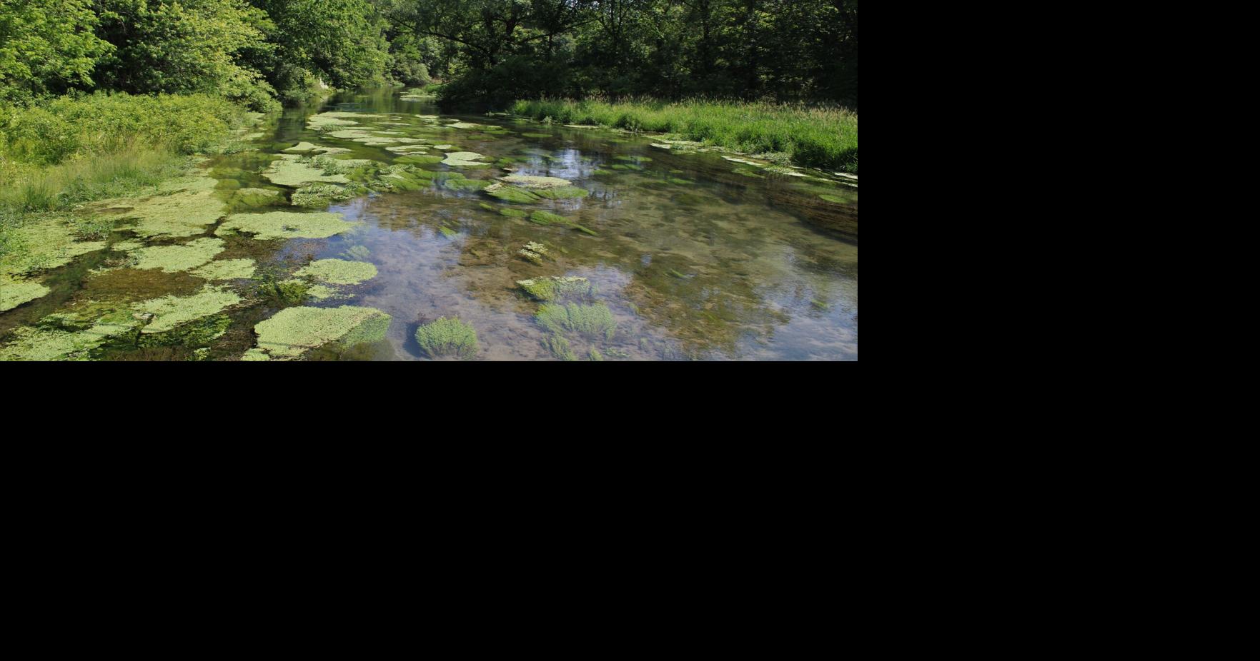 Coalition to Save Big Spring launches spring photo contest