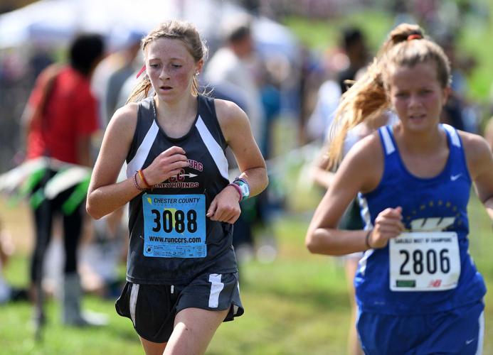 HS Cross Country Runners take a dip at Carlisle Invitational; Jack