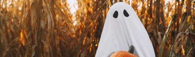 Haunted Mazes and Corn Mazes in PA