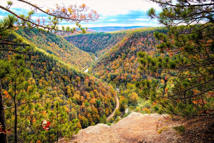 When and Where to View the Best Fall Foliage in PA