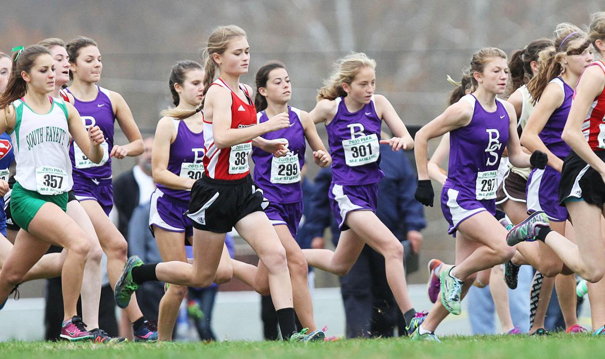 PIAA Cross Country Championships Complete coverage Cross Country