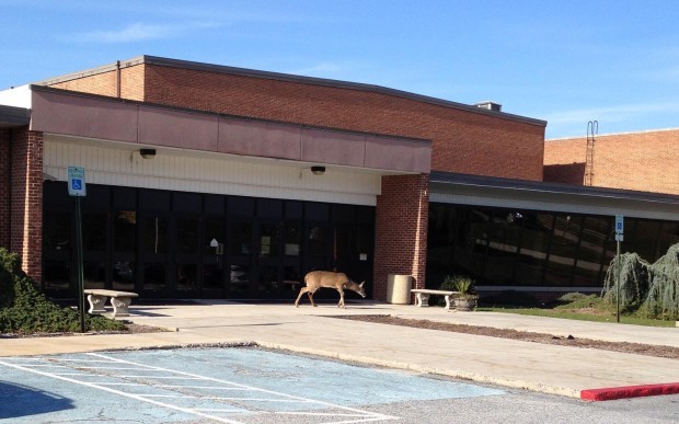 MIDDLE RUN PAROCHIAL SCHOOL