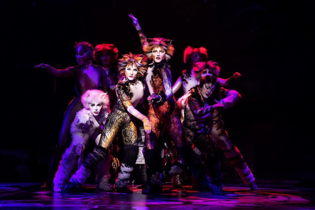 Curtain Up Cats Comes To Hershey The Sentinel Local Scene