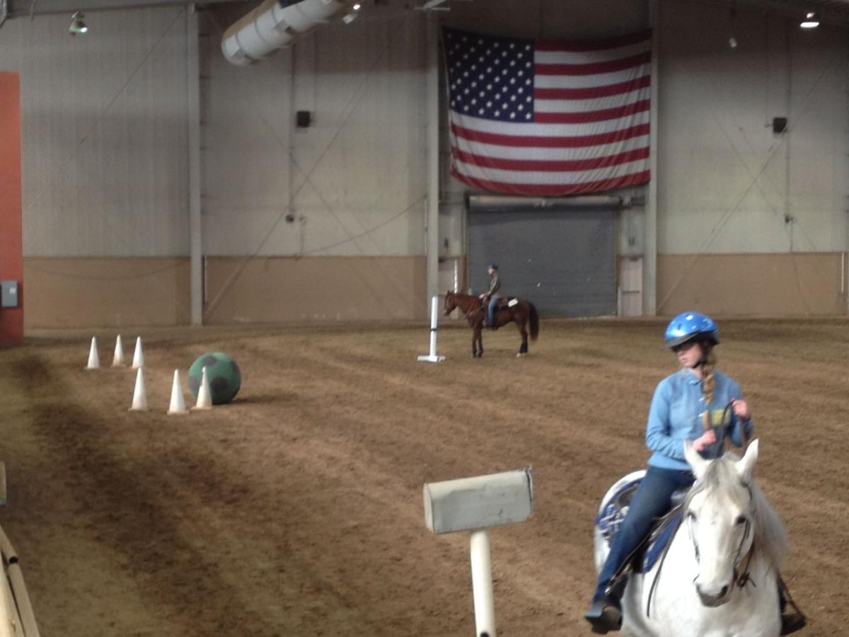 Cumberland County horse shows off skills at World Expo Harrisburg