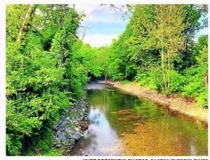 Pa. plan would protect forests, add trees