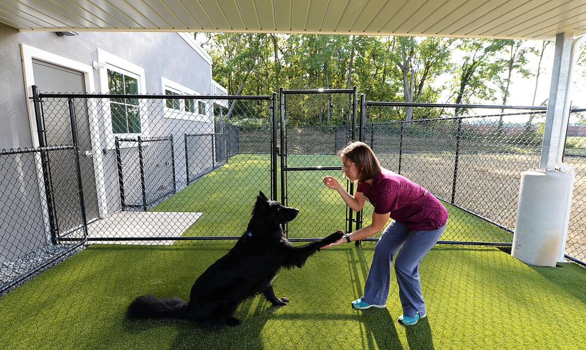 A New Vet Clinic Opens In South Middleton Cumberland Valley Business Journal Cumberlink Com