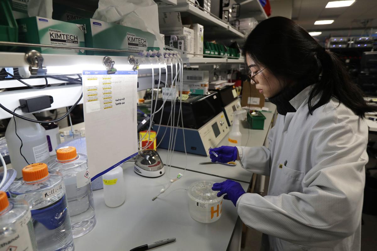 Brain Research Volunteers