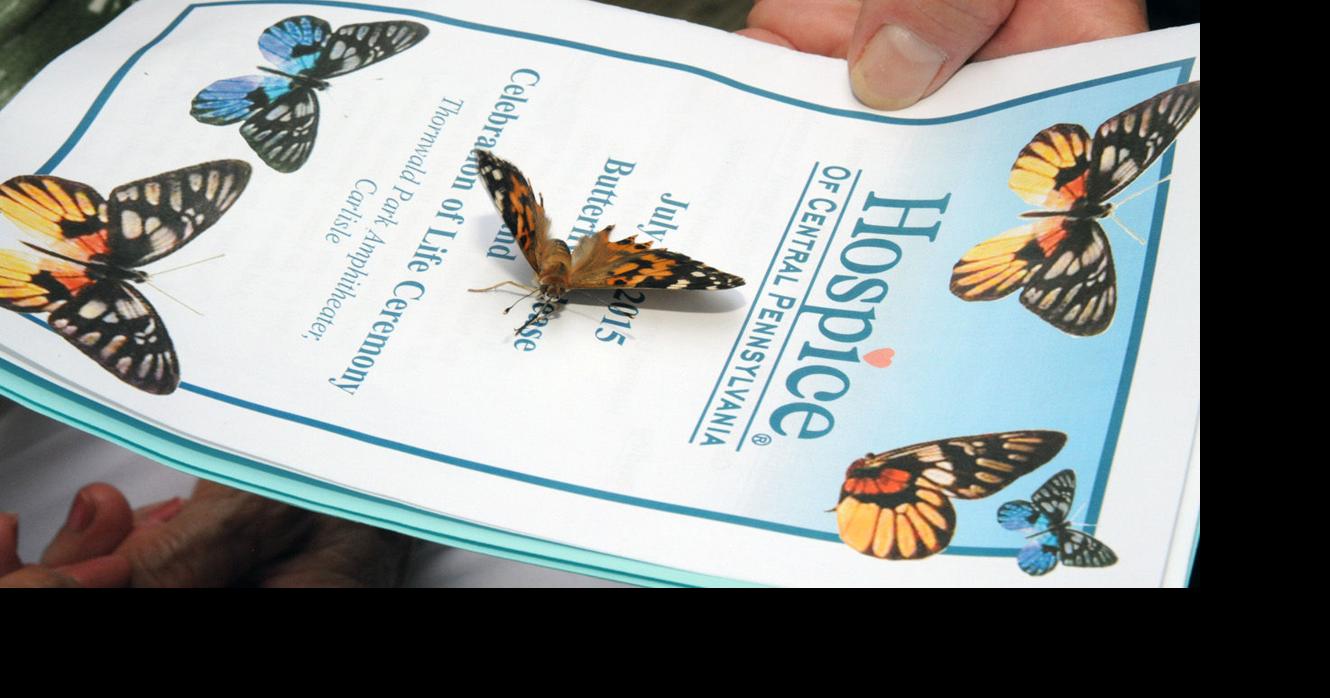 Gallery Hospice butterfly release