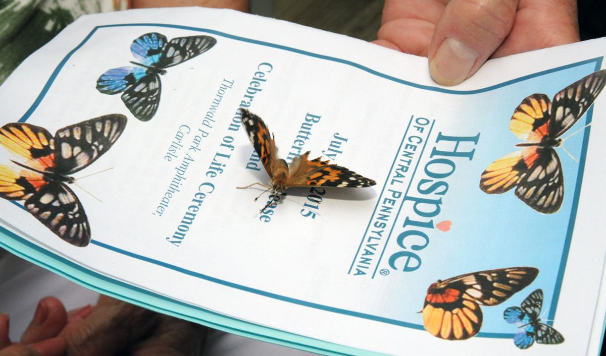 Tears, memories fill the air at hospice butterfly release event in