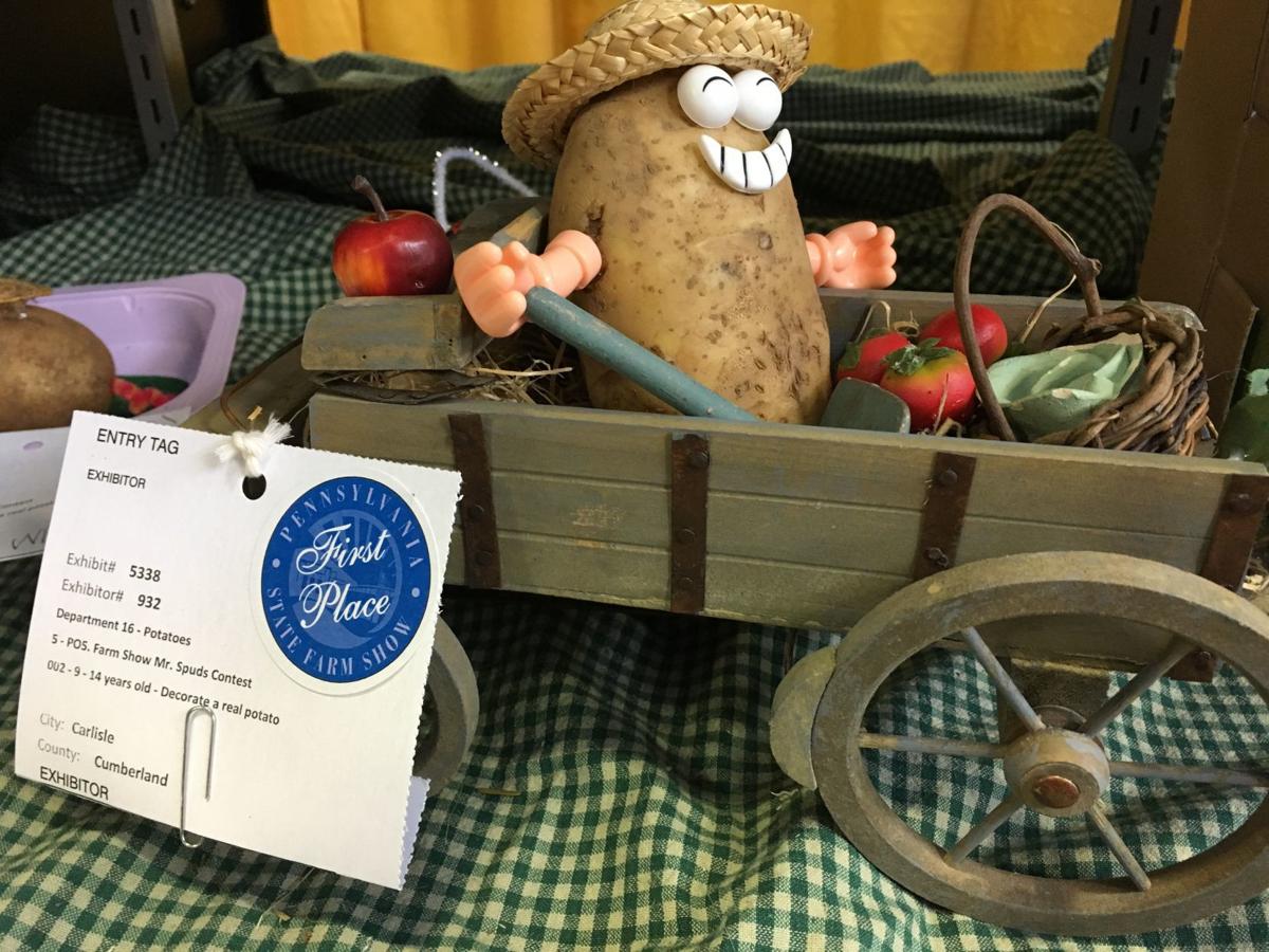 Families Take Part In Events Submit Crafts At Farm Show Capital