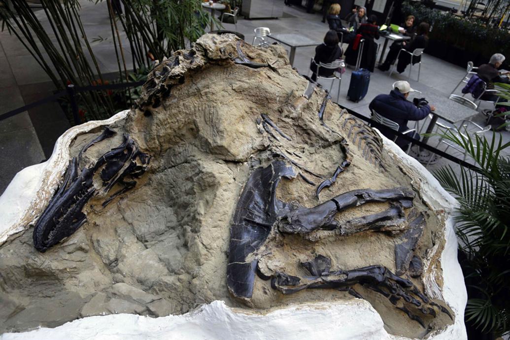museums with dinosaur fossils near me