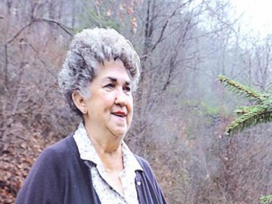 The Charlie Brown Tree An Enduring Tradition In Mt Holly