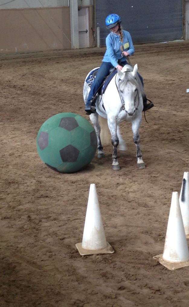 Cumberland County horse shows off skills at World Expo Harrisburg