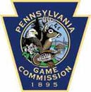 Pa.: Avian flu detected in bald eagle in Chester County