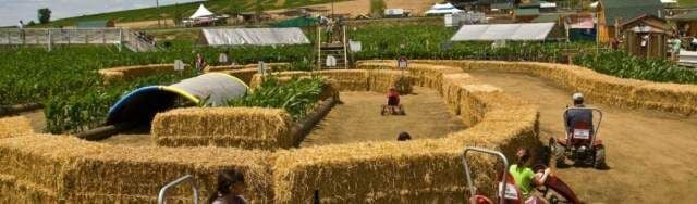 16 Corn Mazes in Pennsylvania to Visit This Fall