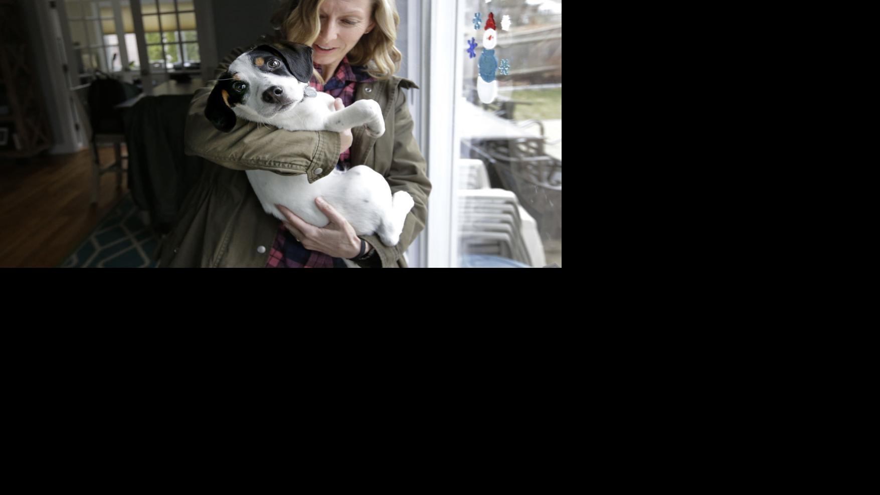 Match For Mutts New Website Helps People Adopt The Best Dog Cumberlink Com I think it's great, uthoff said. the sentinel